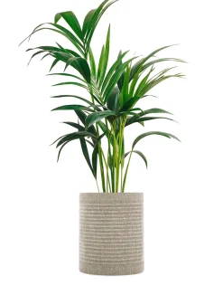 Kartell Kleo cachepot BEIGE