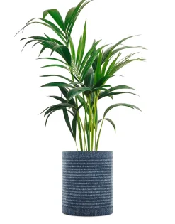 Clearance Kartell Kleo cachepot BLEU